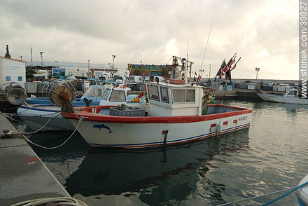 Barcas de pesca en puerto - Región Provenza-Alpes-Costa Azul - FRANCIA. Foto No. 30027