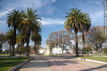 Plaza de Carmelo - Departamento de Colonia - URUGUAY. Foto No. 34909