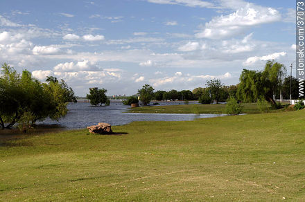Río Uruguay crecido - Departamento de Paysandú - URUGUAY. Foto No. 37073