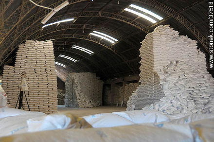 Rice production deposit - Department of Rocha - URUGUAY. Photo #37518