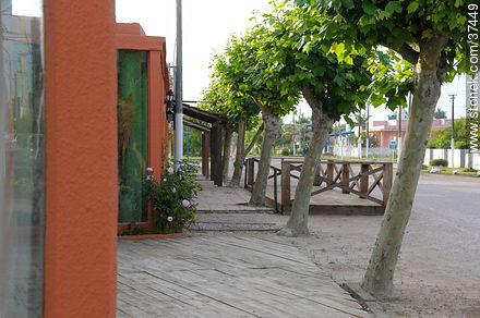 Calle principal. - Departamento de Rocha - URUGUAY. Foto No. 37449