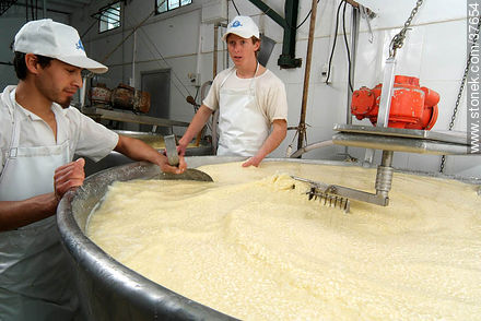 Family cheese factory - Department of Colonia - URUGUAY. Photo #37654