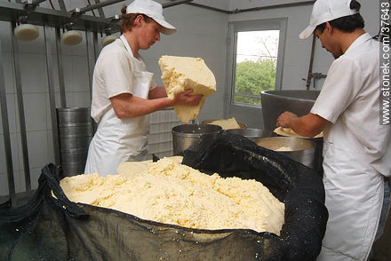 Pequeña industria de fabricación de quesos - Departamento de Colonia - URUGUAY. Foto No. 37643