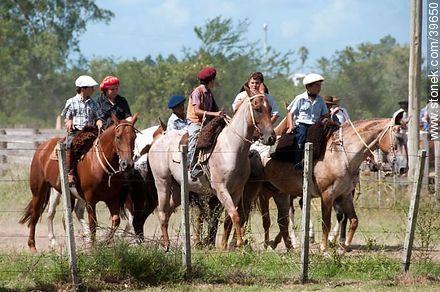 Riders in Patria Gaucha - Tacuarembo - URUGUAY. Photo #39650