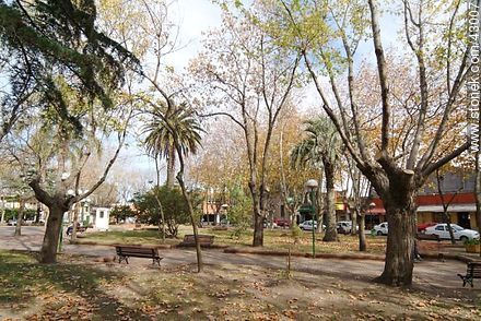 Plaza de Las Piedras. - Departamento de Canelones - URUGUAY. Foto No. 43007