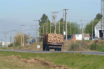 Camión cargando troncos - Departamento de Canelones - URUGUAY. Foto No. 43081
