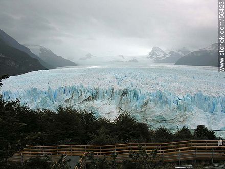 Perito Moreno glacier -  - ARGENTINA. Photo #56423