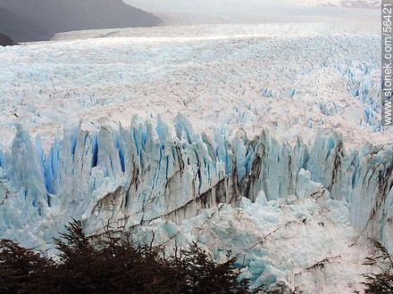 Perito Moreno glacier -  - ARGENTINA. Photo #56421