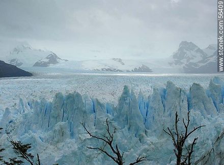 Perito Moreno glacier -  - ARGENTINA. Photo #56409