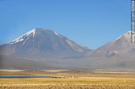 Mountains in the Sajama Park - Bolivia - Others in SOUTH AMERICA. Photo #62964