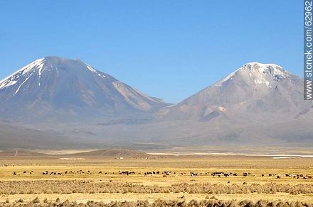 Mountains in the Sajama Park - Bolivia - Others in SOUTH AMERICA. Photo #62962