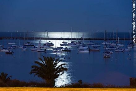 Puerto del Buceo lit by moonlight - Department of Montevideo - URUGUAY. Photo #63802