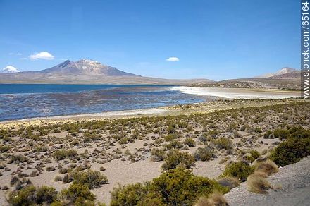 Lago Chungará.  Volcán Quisiquisini - Chile - Otros AMÉRICA del SUR. Foto No. 65164