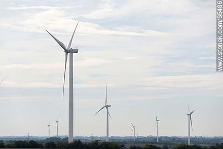 Wind farm Artilleros - Department of Colonia - URUGUAY. Photo #65486