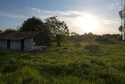 Casa modesta en campos de Colonia - Departamento de Colonia - URUGUAY. Foto No. 66726