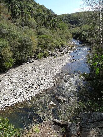 Yerbal Chico Creek - Department of Treinta y Tres - URUGUAY. Photo #79604
