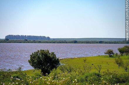Costa sobre el río Uruguay - Departamento de Salto - URUGUAY. Foto No. 83695