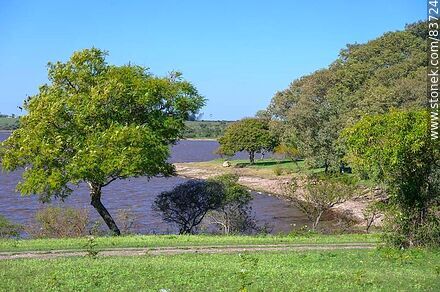 Costa sobre el río Uruguay - Departamento de Salto - URUGUAY. Foto No. 83724