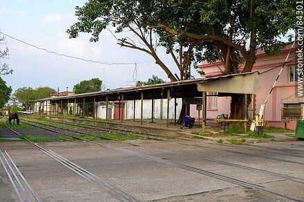 Estación de trenes de Salto - Departamento de Salto - URUGUAY. Foto No. 84301