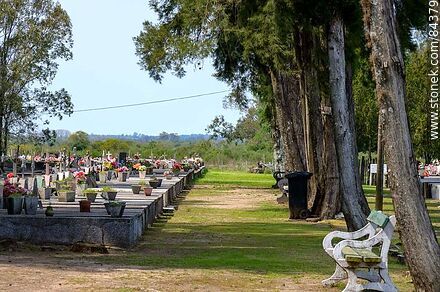 Homogérneas tumbas frente a los cipreses del cementerio de San Javier - Departamento de Río Negro - URUGUAY. Foto No. 84379