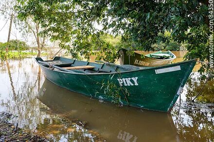 Boats on the shore - Rio Negro - URUGUAY. Photo #84350