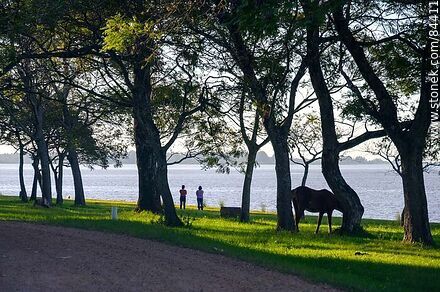 Parque frente a la costa del río Uruguay - Departamento de Salto - URUGUAY. Foto No. 84411