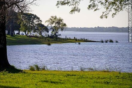 Parque frente a la costa del río Uruguay - Departamento de Salto - URUGUAY. Foto No. 84406