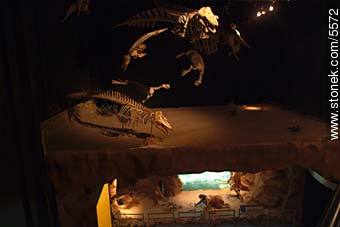 Museo paleontológico de Trelew - Provincia de Chubut - ARGENTINA. Foto No. 5572