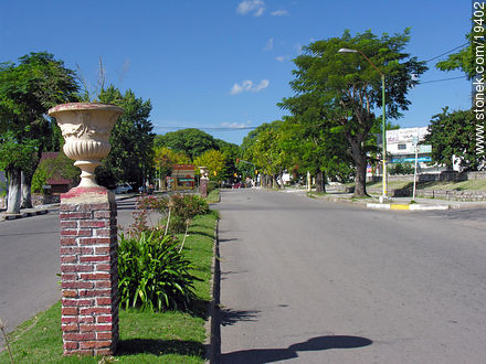 Av. Gral Flores - Departamento de Lavalleja - URUGUAY. Foto No. 19402