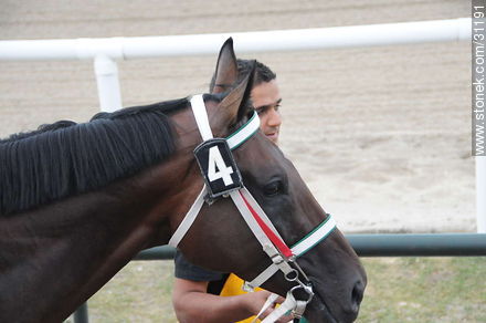 January 6, 2009. Prize J.P. Ramírez. Horse: Relento. - Department of Montevideo - URUGUAY. Photo #31191