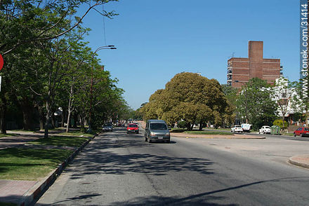 Centenario Avenue. - Department of Montevideo - URUGUAY. Photo #31414