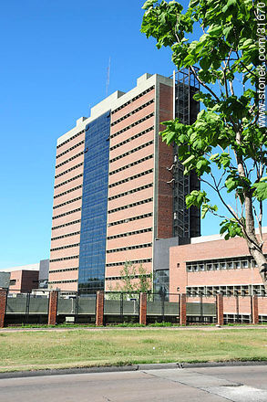 Facultad de Ciencias de Montevideo - Departamento de Montevideo - URUGUAY. Foto No. 31670