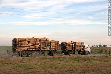 Camión con troncos para una planta de celulosa - Departamento de Río Negro - URUGUAY. Foto No. 35085