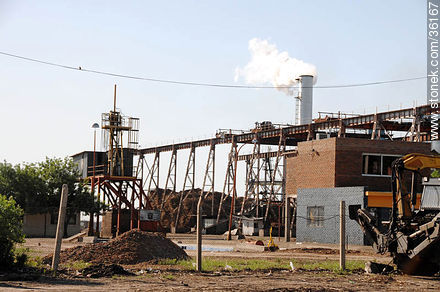 Planta industrial de ALUR - Departamento de Artigas - URUGUAY. Foto No. 36167
