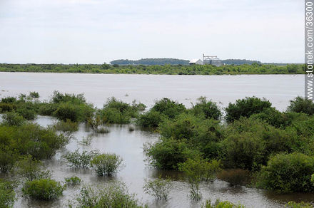 Río Cuareim crecido - Departamento de Artigas - URUGUAY. Foto No. 36300