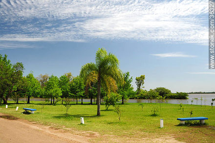 Parque Rivera a orillas del río Uruguay. - Departamento de Artigas - URUGUAY. Foto No. 36327