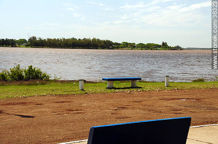 Parque Rivera a orillas del río Uruguay. Enfrente: Monte Caseros (Arg.) - Departamento de Artigas - URUGUAY. Foto No. 36323