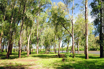Rivera park is on the banks of the Uruguay river. - Artigas - URUGUAY. Photo #36317