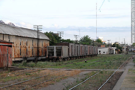 Estación de ferrocarril de Paysandú. - Departamento de Paysandú - URUGUAY. Foto No. 37033