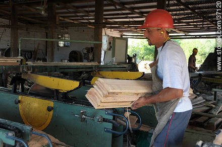 Industria maderera. - Departamento de Paysandú - URUGUAY. Foto No. 37120