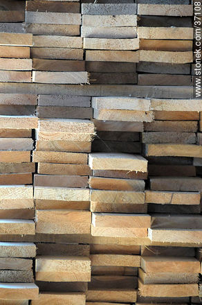 Timber industry - Department of Paysandú - URUGUAY. Photo #37108