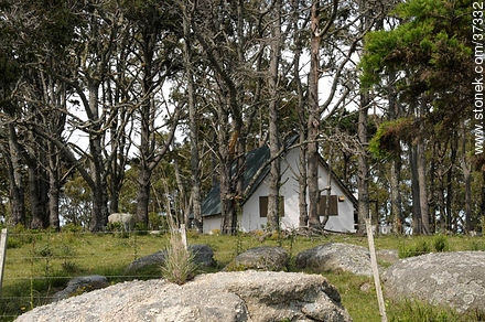 Paque Nacional de Santa Teresa - Departamento de Rocha - URUGUAY. Foto No. 37332