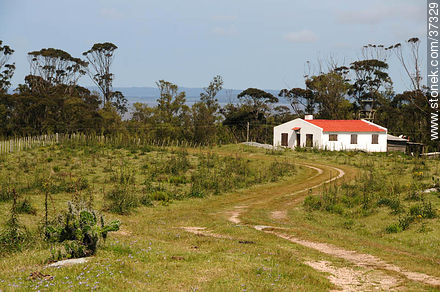 Santa Teresa National Park. - Department of Rocha - URUGUAY. Photo #37329