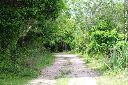 Santa Teresa National Park. - Department of Rocha - URUGUAY. Photo #37322