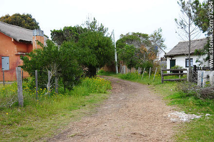 Caminos de Valizas - Departamento de Rocha - URUGUAY. Foto No. 37264