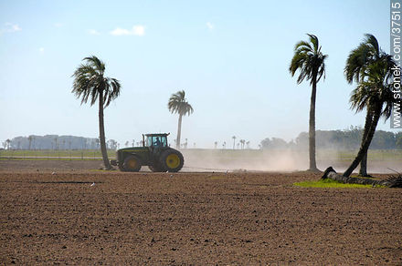 Preparing a ricefield - Department of Rocha - URUGUAY. Photo #37515