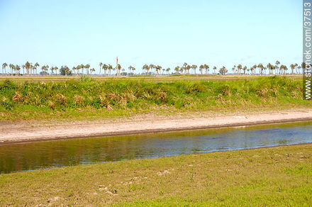 Irrigation canal - Department of Rocha - URUGUAY. Photo #37513