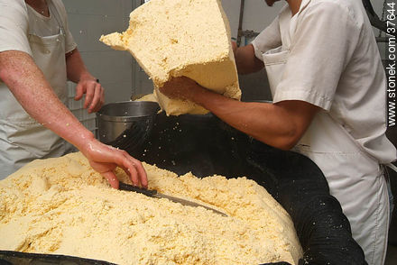 Pequeña industria de fabricación de quesos - Departamento de Colonia - URUGUAY. Foto No. 37644