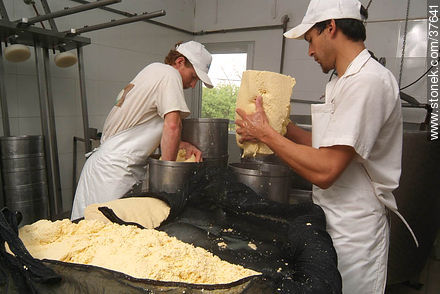 Pequeña industria de fabricación de quesos - Departamento de Colonia - URUGUAY. Foto No. 37641