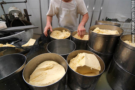 Pequeña industria de fabricación de quesos - Departamento de Colonia - URUGUAY. Foto No. 37638